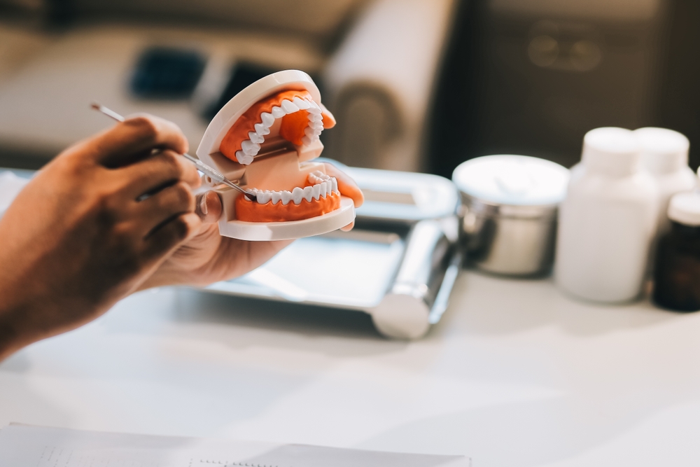 A hand holding a dental model with a tool, demonstrating teeth and gum structure on a desk with dental supplies in the background - Dentist University Place WA A hand holding a dental model with a tool, demonstrating teeth and gum structure on a desk with dental supplies in the background - Dentist University Place WA