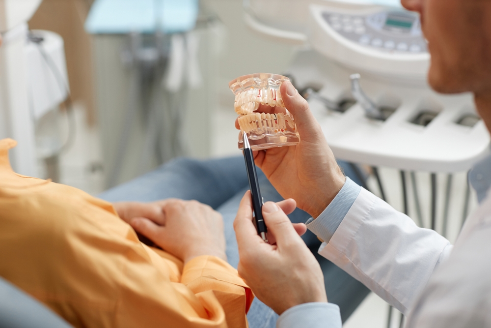 A dentist explaining dental anatomy to a patient using a model of teeth and a pen for pointing - Dentist University Place WA A dentist explaining dental anatomy to a patient using a model of teeth and a pen for pointing - Dentist University Place WA